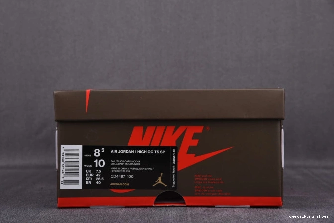 Rep TS - 'TRAVIS JORDAN SCOTT' 1 CD4487-100 HIGH SP AIR 2.0 OG 0819